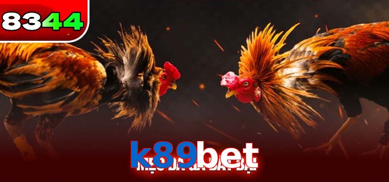 Đá gà k89bet có sức hấp dẫn